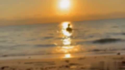 Tell me Liam online show from January 2026 11:53:01 PM