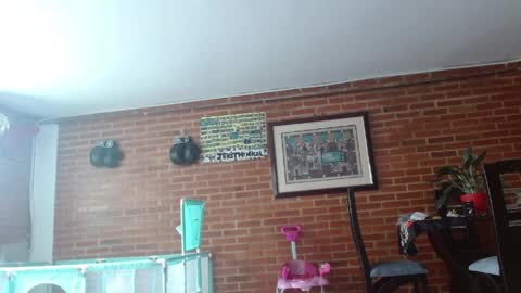 Liarouse04 online show from May 2026 04:03:02 PM