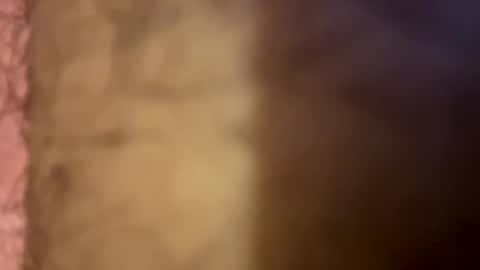 lightbulb444555 online show from September 2025 04:25:01 AM