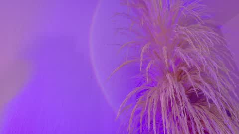 Liiam Luna online show from March 2026 09:10:02 AM