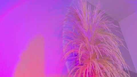 Liiam Luna online show from April 2026 10:02:02 AM