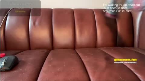 likeasnack online show from June 2026 11:42:01 PM