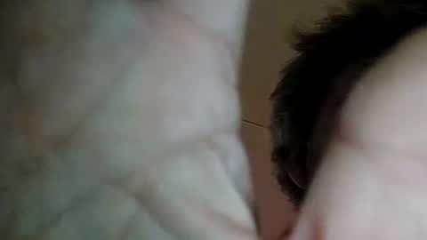 likkeryjes online show from October 2025 08:58:01 AM