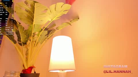 Hanna online show from December 2024 03:01:01 PM