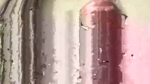 lildog361334 online show from February 2026 03:46:01 PM