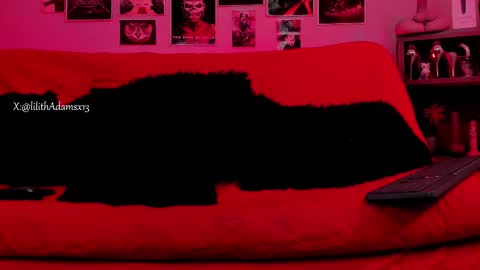 Snapshot of lilith_deveraux_ chatting on October 2025 02:06:02 PM MISTRESS LILITH online show from October 2025 02:06:02 PM