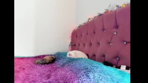 Snapshot of lilithintheeden chatting on February 2025 08:32:01 PM Lilith online show from February 2025 08:32:01 PM