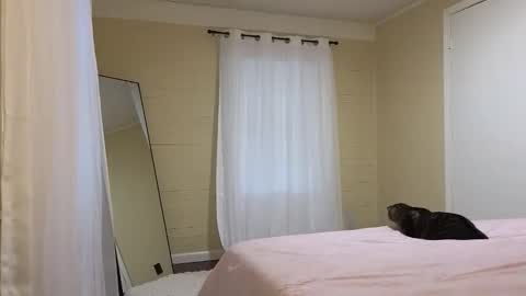 Snapshot of lilly_adams88 chatting on May 2026 10:28:01 PM lilly_adams88 online show from May 2026 10:28:01 PM