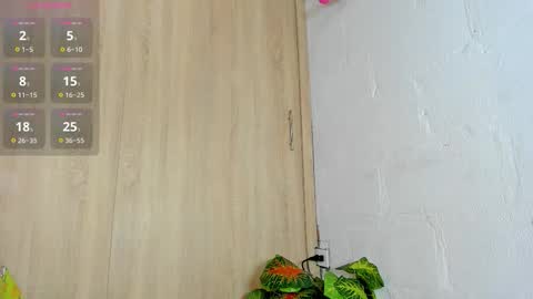   online show from November 2025 06:08:02 PM