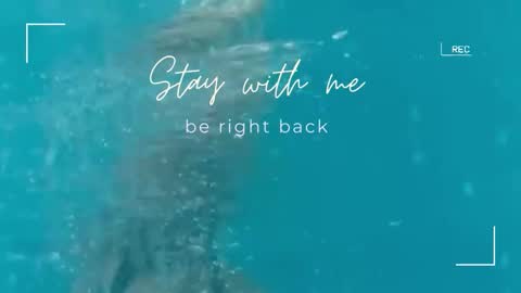 Lily online show from November 2025 06:45:01 AM