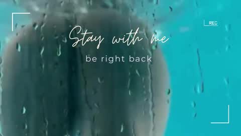 Lily online show from December 2025 06:31:01 AM