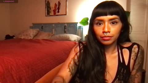 Little Lily online show from November 2025 05:29:02 AM