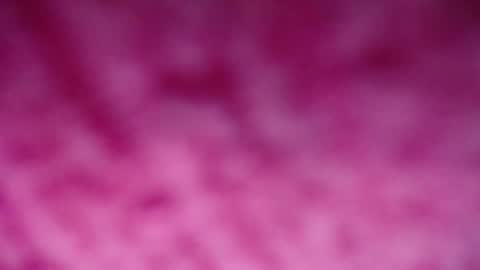 lindsey_2023 online show from December 2024 09:20:01 PM