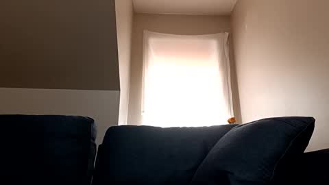 Snapshot of linkutome chatting on January 2025 06:16:01 PM linkutome online show from January 2025 06:16:01 PM