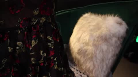 Lire online show from February 2025 04:18:02 AM