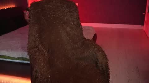 lisa_elfy online show from March 2026 03:37:02 PM