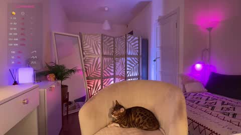 Lisa  online show from November 2025 04:40:01 PM