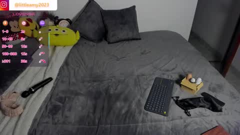 Snapshot of little__ammy chatting on February 2026 12:49:01 AM little__ammy online show from February 2026 12:49:01 AM