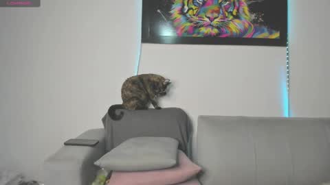 Independent model carolina online show from March 2025 09:26:01 PM