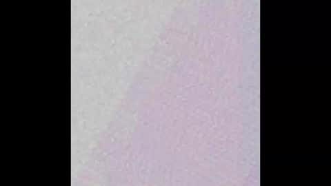 Snapshot of little_pearl_ chatting on February 2025 07:44:02 AM Adaline online show from February 2025 07:44:02 AM
