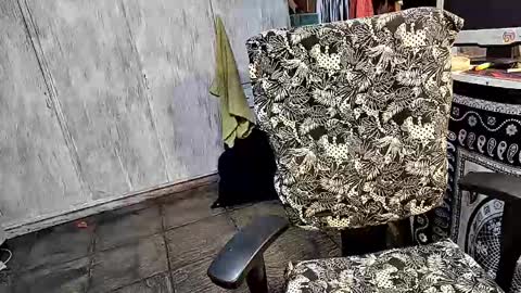 little_savage online show from March 2026 02:06:02 AM