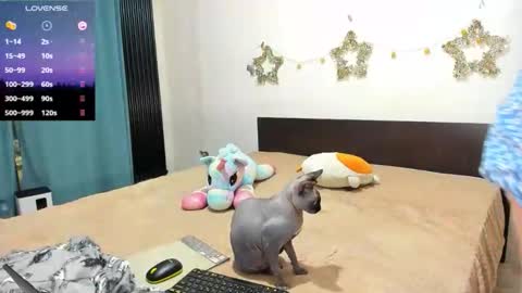 Kat online show from February 2026 11:17:01 PM