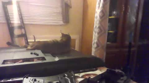 Snapshot of littlegrey376 chatting on February 2026 07:15:02 AM littlegrey376 online show from February 2026 07:15:02 AM