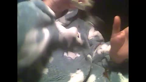 LittlePaul online show from December 2024 09:22:01 PM