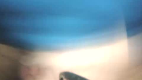 littlestick online show from January 2026 08:41:02 AM