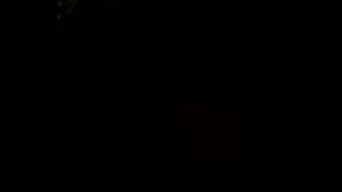 Little Tj online show from January 2026 06:29:01 AM