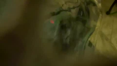 Little Tj online show from April 2026 04:03:02 AM