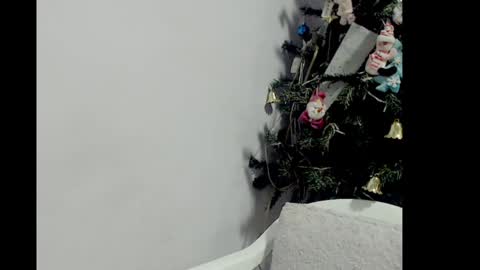 Snapshot of lizz1305 chatting on December 2024 03:20:02 PM lizz1305 online show from December 2024 03:20:02 PM