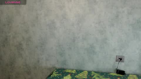 Snapshot of lizzielight chatting on December 2024 06:53:01 PM LizzieLight online show from December 2024 06:53:01 PM