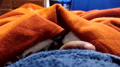 loganncky online show from March 2026 07:59:01 AM