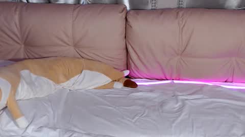 lolacash777 online show from February 2026 08:26:01 PM