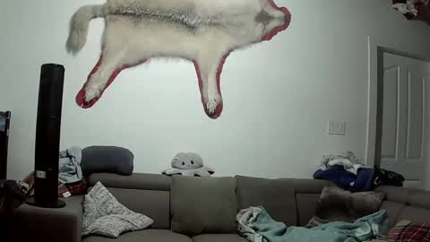 Lola Lixx online show from October 2025 05:49:02 AM