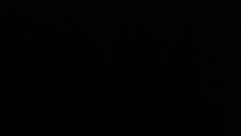 Lilly online show from March 2025 02:21:02 PM