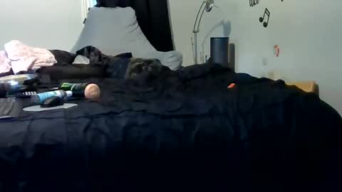 lonelydick2222 online show from May 2026 01:28:02 PM
