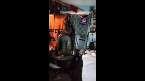 Mr. FogoDeChao online show from February 2026 06:46:01 PM