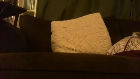 longlorne online show from February 2026 05:13:02 AM