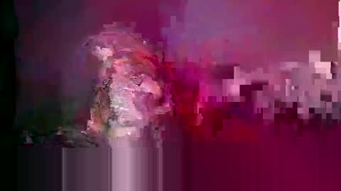 longone2600 online show from February 2026 02:30:01 AM