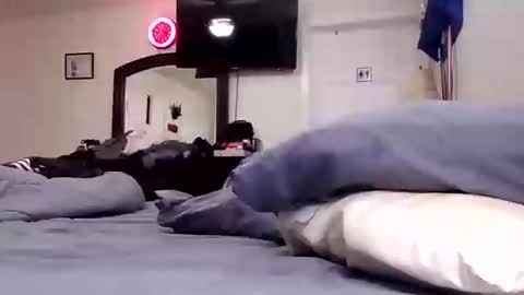 lookatmecum4you online show from September 2025 11:56:02 AM