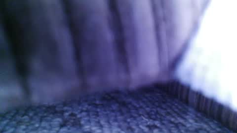 lookingforcougars500 online show from September 2025 04:00:01 AM