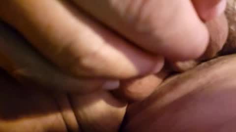 2791 3D online show from February 2026 07:56:01 PM