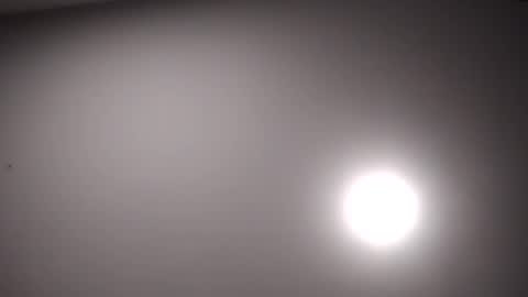 lorena online show from December 2024 03:32:01 AM