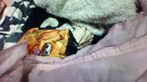 lovaelisa online show from November 2025 02:52:02 PM