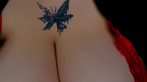 Sailor online show from December 2025 08:10:01 AM