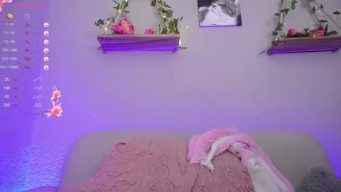 katalina   online show from February 2025 04:20:01 AM