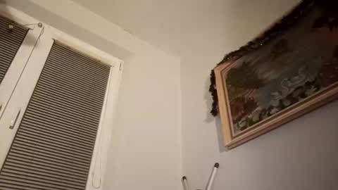 mister nice cockie online show from December 2024 11:21:01 PM