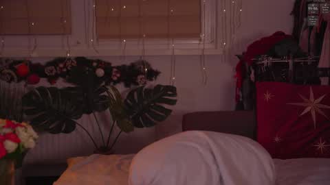 Nelly online show from January 2026 05:27:02 PM